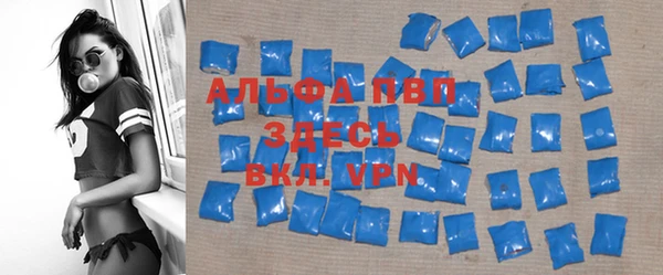 молекула духа Вяземский