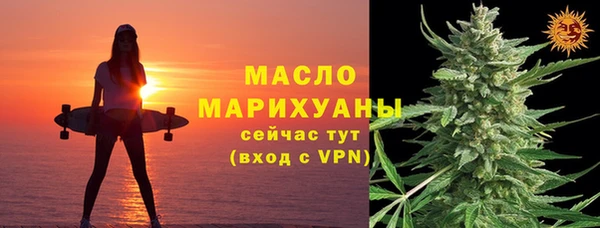 молекула духа Вяземский