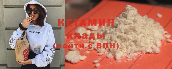 молекула духа Вяземский