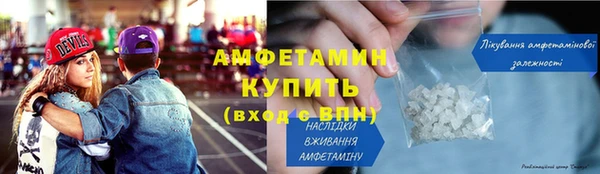 молекула духа Вяземский