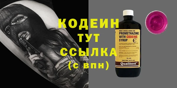 молекула духа Вяземский