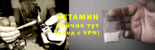 молекула духа Вяземский