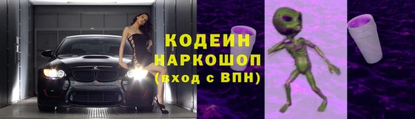 молекула духа Вяземский