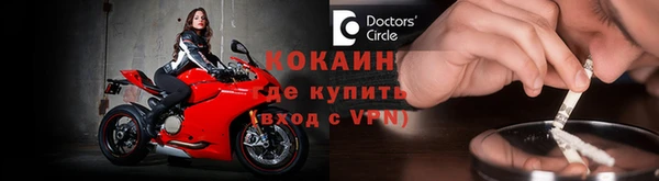молекула духа Вяземский