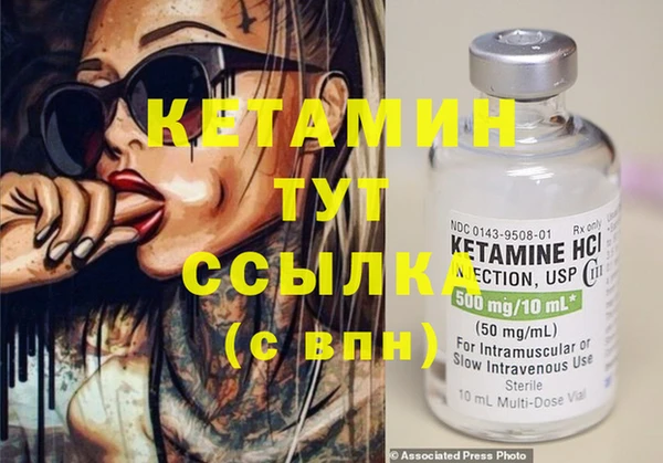 молекула духа Вяземский