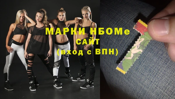 молекула духа Вяземский