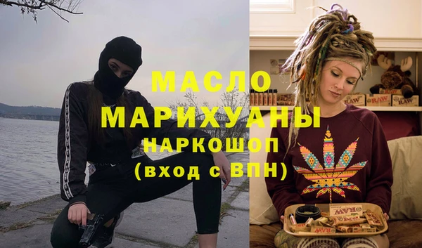 молекула духа Вяземский