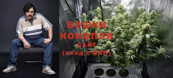 молекула духа Вяземский