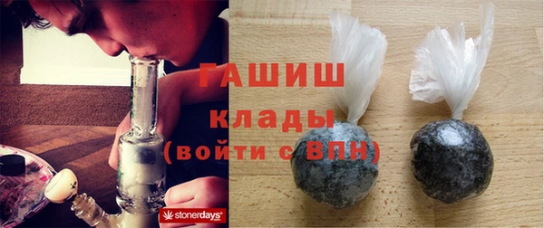 молекула духа Вяземский